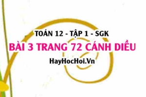 Bài 3 trang 72 Toán 12 tập 1 Cánh Diều